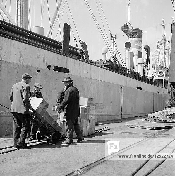 Loading a ship at the North Quay  West India Docks  London  c1945-c1965. Artist: SW Rawlings