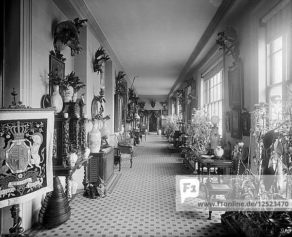 The entrance hall at the White Lodge  Richmond Park  London  1892. Artist: Bedford Lemere and Company