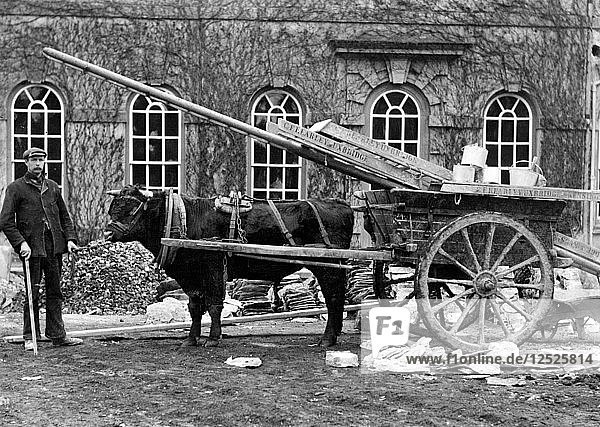 Arbeiter  der vor einem Haus mit einem Ochsenkarren posiert  Kingston Lisle  Oxfordshire  um 1860 bis 1922. Künstler: Henry Taunt