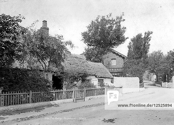 One Tree Cottage  Bispham  Lancashire  1890-1910. Künstler: Unbekannt