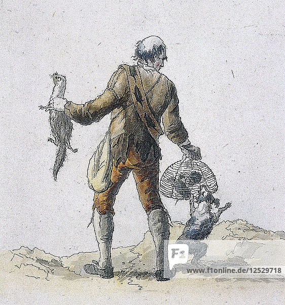 Ein Rattenfänger  Charaktere der Provinz  1804. Künstler: William Henry Pyne