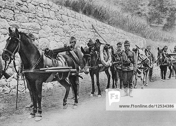 Austrian soldiers  Austro-Italian war  Battle of the Isonzo  World War I  1915. Artist: Unknown