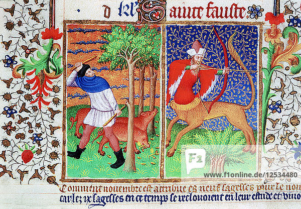 November: Fütterung von Schweinen und Schütze  um 1423. Künstler: Unbekannt