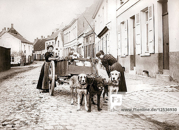 Frauen und Hundewagen  Antwerpen  1898. Künstler: James Batkin