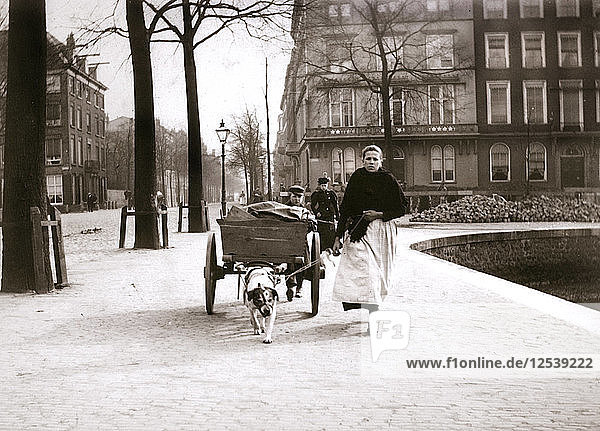 Frau mit Hundewagen  Rotterdam  1898.Künstler: James Batkin