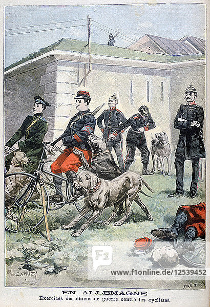Ausbildung von Armeehunden zum Angriff auf Radfahrer  Deutschland  1897. Künstler: F. Meaulle