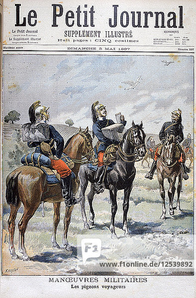 Französische Militärmanöver: Einsatz von Brieftauben zur Kommunikation  1897. Künstler: Oswaldo Tofani