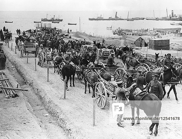 Horse drawn transportation  Allied operations in the Dardanelles  Turkey  1915-1916. Artist: Unknown