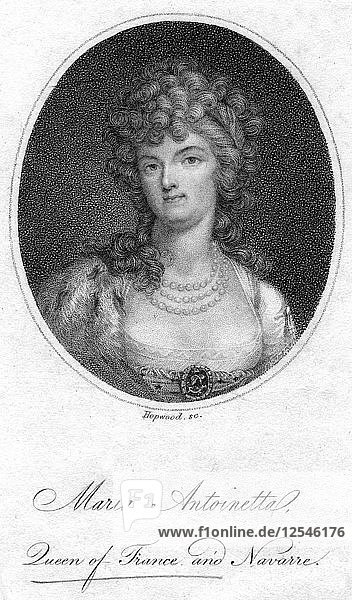 Marie Antoinette  Königingemahlin von Ludwig XVI. von Frankreich Künstler: Hopwood