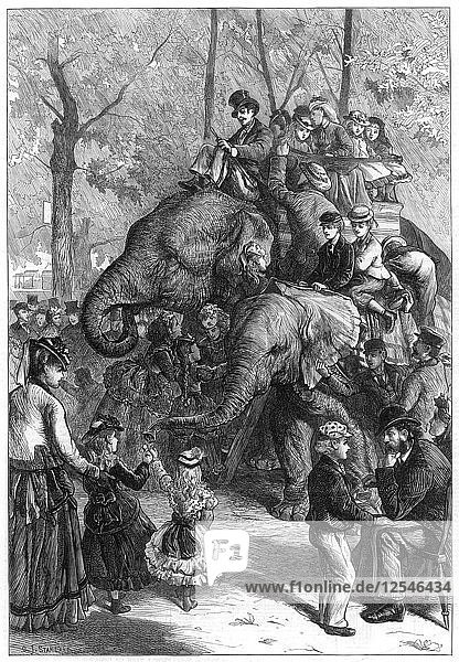 Montagnachmittag in den Gärten der zoologischen Gesellschaft  1871.Künstler: Charles Joseph Staniland