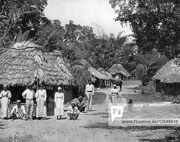 Hütten der Eingeborenen  Jamaika  um 1905  Künstler: Adolphe Duperly & Sohn