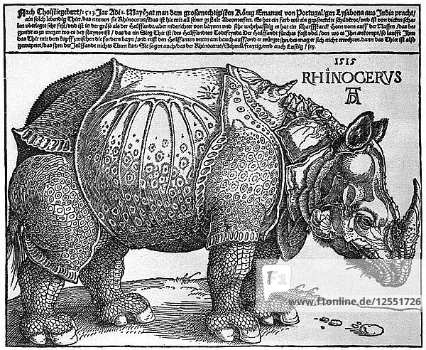 Nashorn  Druck  der Maximilian I. vom König von Lissabon geschenkt wurde  1515  (1936). Künstler: Albrecht Dürer