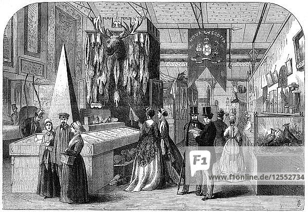 Die Abteilung für Neuschottland auf der Pariser Weltausstellung  1867. Künstler: Unbekannt