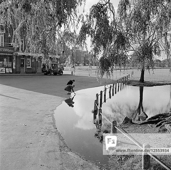 Hare and Billet Pond  Blackheath  London  1955-1965. Artist: John Gay