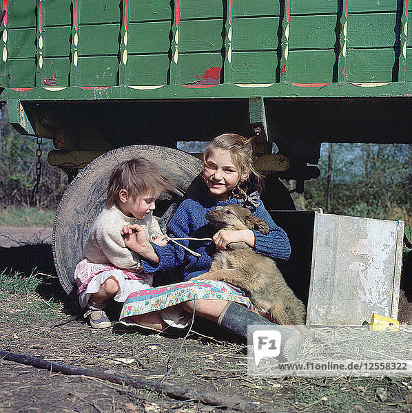Two young gipsy girls playing with a dog  Charlwood  Newdigate area  Surrey  1964.
