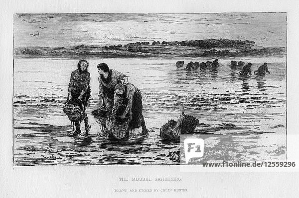 Die Muschelsammler  um 1890  Künstler: Colin Hunter