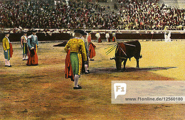 Bull fight  20th century. Artist: Unknown