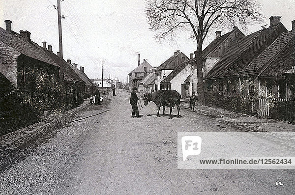 Ein Bauer mit einer Kuh auf einer Straße  Landskrona  Schweden  1900. Künstler: Borg Mesch