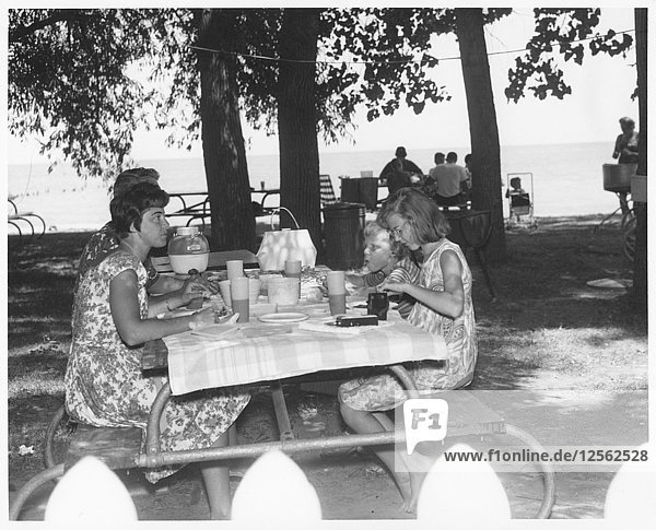 Picknick am Strand  Fort Sheridan  Illinois  USA  1966. Künstler: Skau