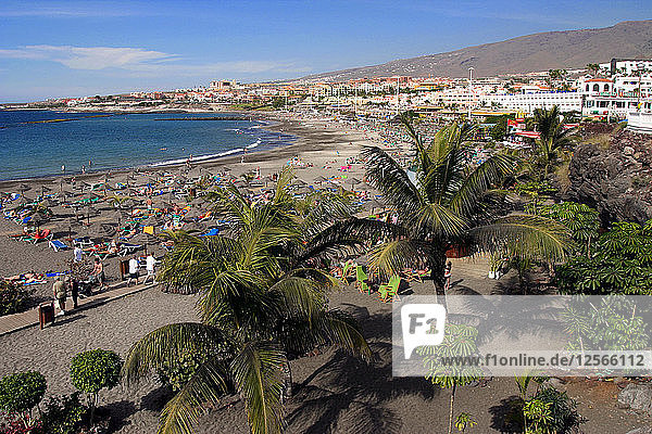 Playa de Torviscas beach  Playa de las Americas  Tenerife  Canary Islands  2007.