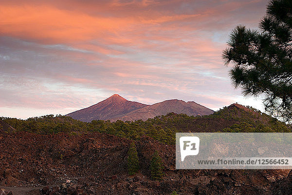 Mount Teide  Vulkan auf Teneriffa  Kanarische Inseln  2007.