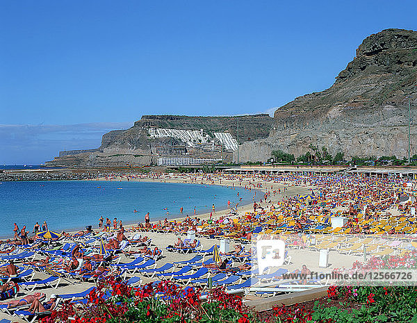 Playa del Amadores  Gran Canaria  Kanarische Inseln.