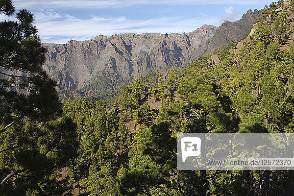 Parque Nacional de la Caldera de Taburiente  La Palma  Kanarische Inseln  Spanien  2009.
