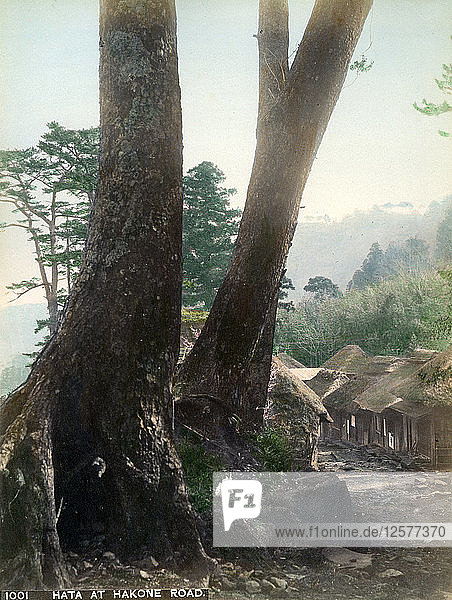 Hata an der Hakone-Straße  Japan  frühes 20. Jahrhundert(?). Künstler: Unbekannt