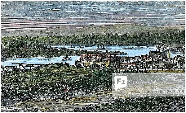 Blick auf die westlichen Vororte von Victoria  Vancouver Island  British Columbia  Kanada  um 1880. Künstler: Unbekannt