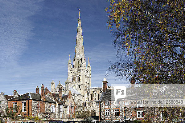 Kathedrale von Norwich  Norfolk  2010.