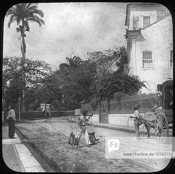 Straßenszene  Pernambuco  Brasilien  Ende des 19. oder Anfang des 20. Jahrhunderts. Künstler: Unbekannt