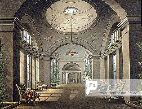 Interieur der Voliere im Pawlowsk-Palast  Mitte des 19. Jahrhunderts. Künstler: Anon