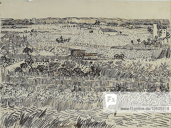 Die Weinlese in der Provence (für Émile Bernard)  1888. Künstler: Gogh  Vincent  van (1853-1890)