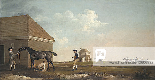 Gimcrack auf der Newmarket Heath  mit einem Trainer  einem Stallburschen und einem Jockey  1765. Künstler: Stubbs  George (1724-1806)