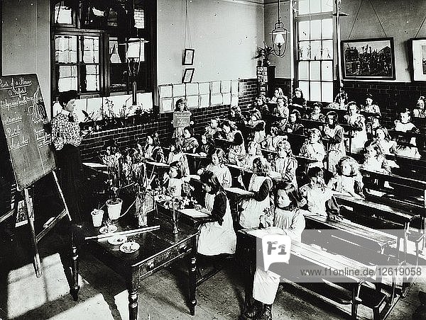 Naturunterricht  Klasse IIIB  Albion Street Girls School  Rotherhithe  London  1908. Künstler: Unbekannt.