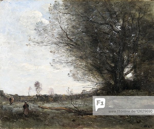 Die Buche  1816-1875. Künstler: Jean-Baptiste-Camille Corot.