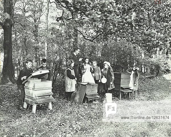 Kinder füttern Bienen für den Winter  Shrewsbury House Open Air School  London  1909. Künstler: Unbekannt.