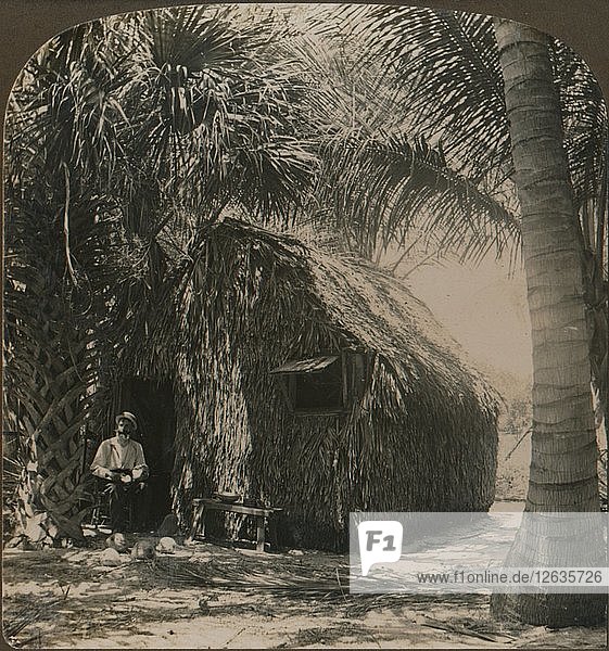 Strohgedecktes Cottage in Cocoanut Grove  Florida  USA  um 1900. Künstler: Unbekannt.