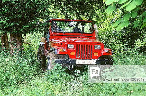 1993 Jeep Wrangler. Künstler: Unbekannt.