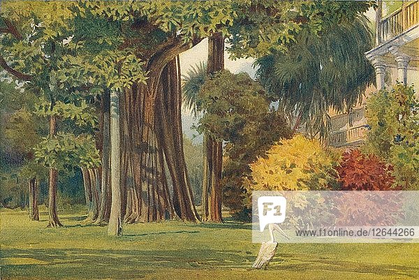 Das Haus der Königin  Colombo  um 1880 (1905). Künstler: Alexander Henry Hallam Murray.