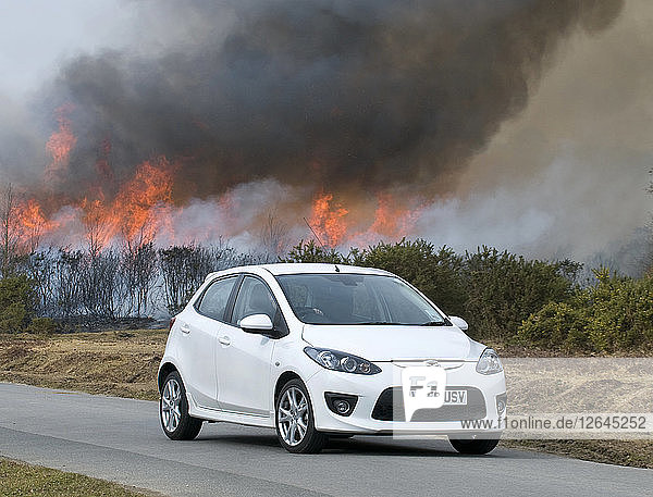 2010 Mazda 2 Sport  kontrollierte Verbrennung in New Forest Artist: Unbekannt.
