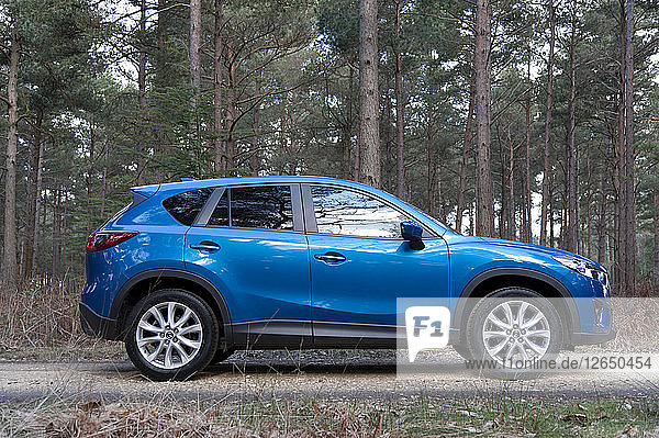 2013 Mazda CX-5 Künstler: Unbekannt.