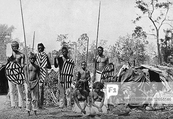 Eine Gruppe von Eingeborenen aus Queensland trägt Speere und Schilde  1902. Künstler: Henry King.