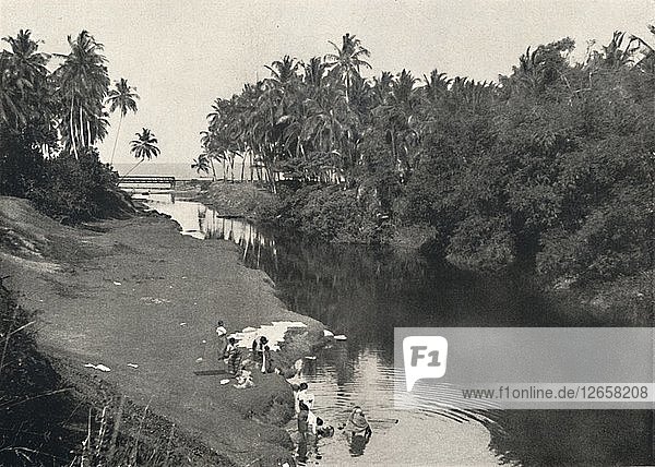 Landschaft am Fluss bei Dehiwala  zwischen Colombo und Mount Lavinia  1926. Künstler: Unbekannt.