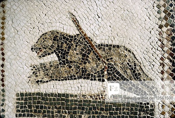Römisches Mosaikdetail eines Bären  aus Diana die Jägerin  Thuburbo Majus  Tunesien  4. Künstler: Unbekannt.