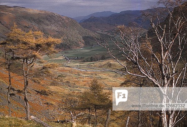 Oberes Borrowdale-Tal im Oktober  Lake District  Cumbria  20. Jahrhundert. Künstler: CM Dixon.