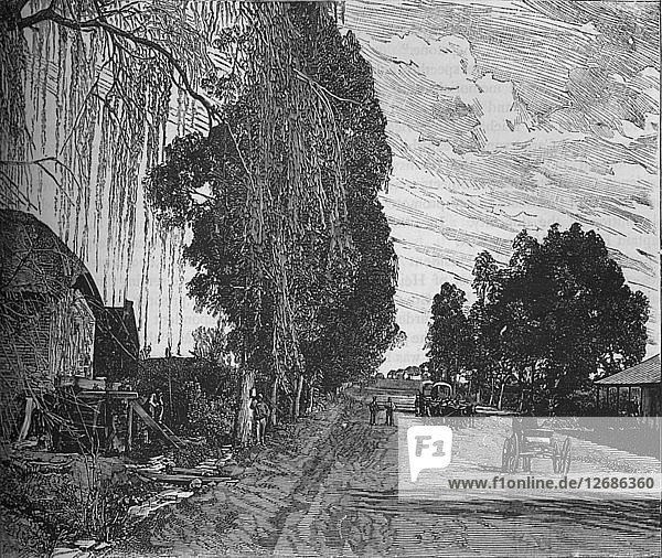 Ansicht bei Pretoria  um 1880. Künstler: Unbekannt.