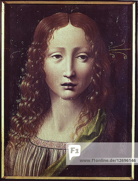 Kopfarbeit von Leonardo da Vinci.