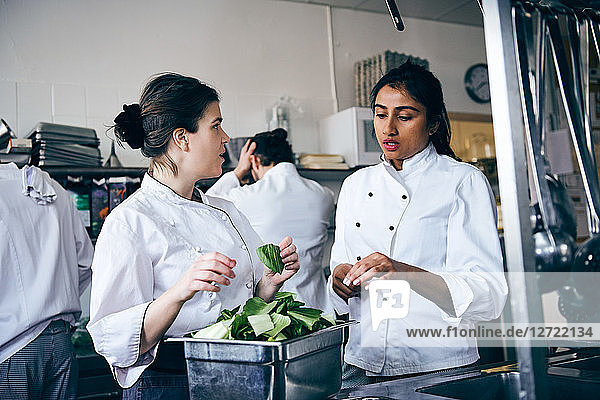 Multi-ethnic female chefs discussing over vegetable in commercial kitchen