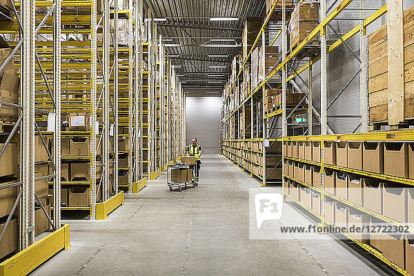 Mid distance view of senior male worker pushing cart on aisle in warehouse
